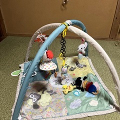ショーンのベビージムの画像