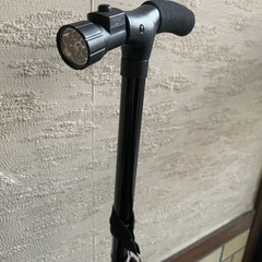 4点ステッキ(2本あり)の画像