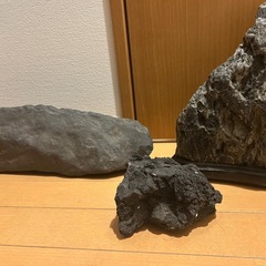 鑑賞石  庭石の画像