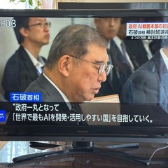 液晶テレビ REGZA 42型の画像