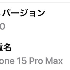 米国版 iPhone15Pro Max 256GB の画像