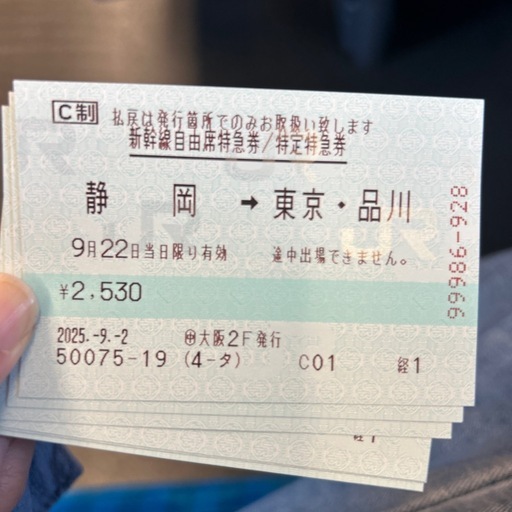 新幹線チケット大人２枚（静岡→東京　山手線間）