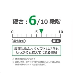 マニフレックスブラックの画像