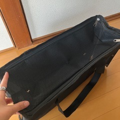 小動物キャリーケースの画像