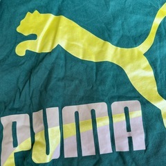 PUMA プリント Tシャツの画像