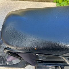 【動作確認◎】HONDAズーマー中古の画像