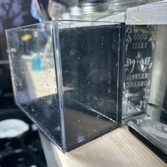 メダカ無人販売　選別容器の画像