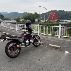 z550gp  400登録の画像