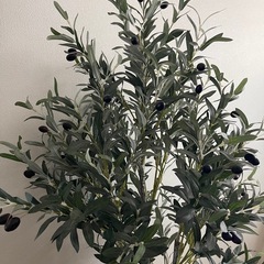 造花のオリーブツリーの画像