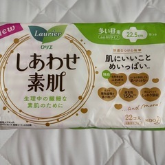 新品未開封　生理用ナプキン　10個セットの画像