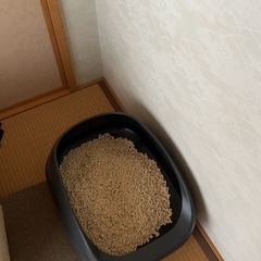 オープンタイプ　デオトイレの画像