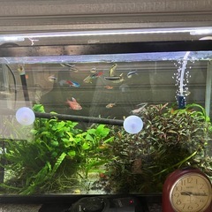 水槽セットの画像