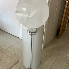 ブラバンシア　ペダルビン　歪みありの画像