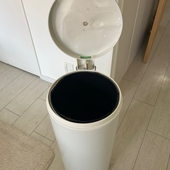 ブラバンシア　ペダルビン　歪みありの画像