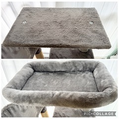 キャットタワー&猫キャリー(ドーム型)の2点セットでの画像