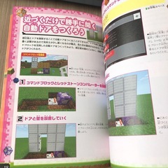 マイクラコマンドガイド本の画像