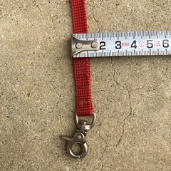小型犬用　ロングリード　15m　赤の画像