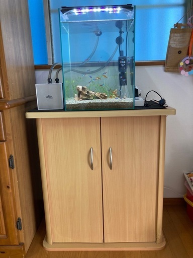 水槽セット