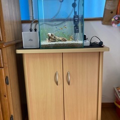 水槽セットの画像