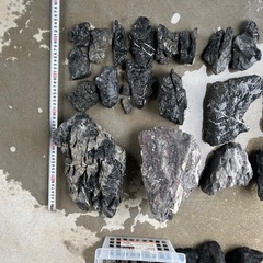 龍王石、溶岩石　アクアリウム　の画像