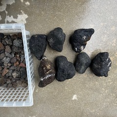龍王石、溶岩石　アクアリウム　の画像