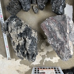 龍王石、溶岩石　アクアリウム　の画像