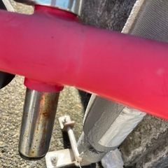 ちびっこ自転車　（足こぎタイプ）の画像