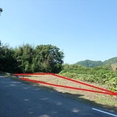 田園に残された竹林の一角。ほぼ篠山川沿いの「ポツンと一軒家…
