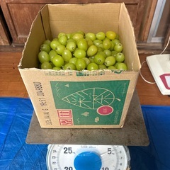 【急募】山梨県産　シャインマスカット　粒5kgの画像