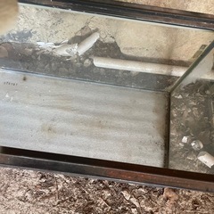 水槽の画像