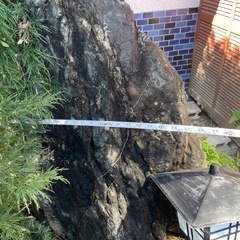 庭石の画像