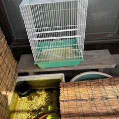 鳥かご マリーン インコ マルカン バードパレス ケージの画像