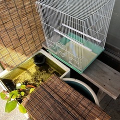 鳥かご マリーン インコ マルカン バードパレス ケージの画像
