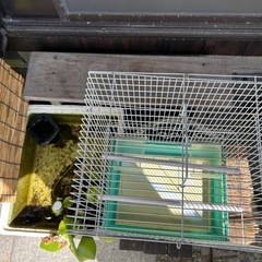 鳥かご マリーン インコ マルカン バードパレス ケージの画像