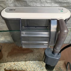 メダカ金魚水槽一色
の画像