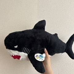 サメのぬいぐるみ【タグ付き】の画像