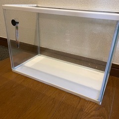 水槽の画像