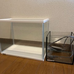 水槽の画像