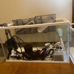 水槽の画像