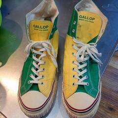 Gallop 27cm程度 ブラジルの画像