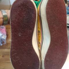 Gallop 27cm程度 ブラジルの画像