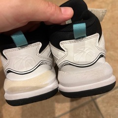バスケットバッシュ　の画像