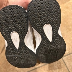 バスケットバッシュ　の画像