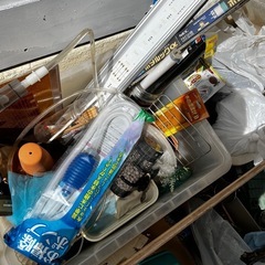 水槽砂利関係…流木などの画像