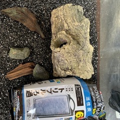 メダカ金魚水槽一色
の画像