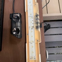 メダカ金魚水槽一色
の画像