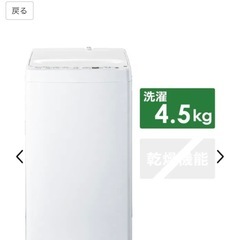 ビッグカメラの洗濯機 4.5kgの画像