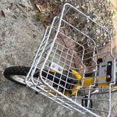 自転車 子ども 黄色 お下がり
の画像