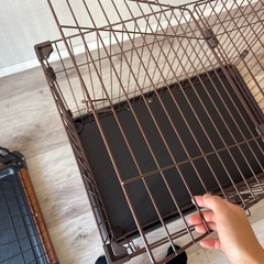 犬　ケージの画像