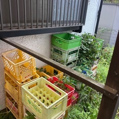 ビールケースやドリンクケースの画像